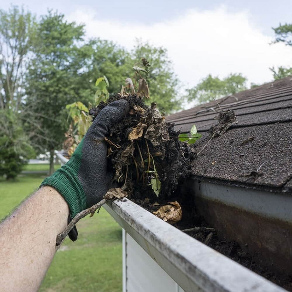 gutter cleaning