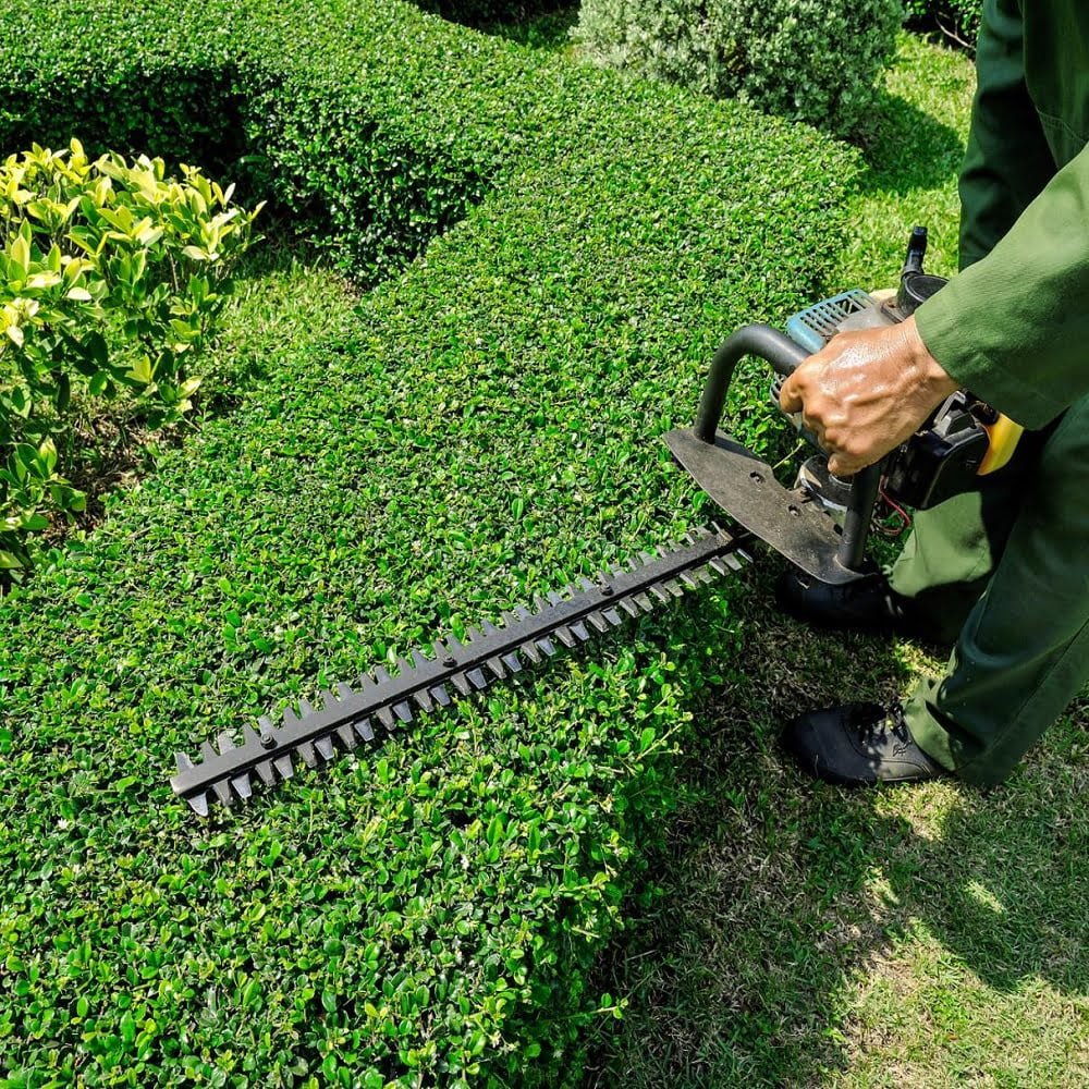 hedge trimming