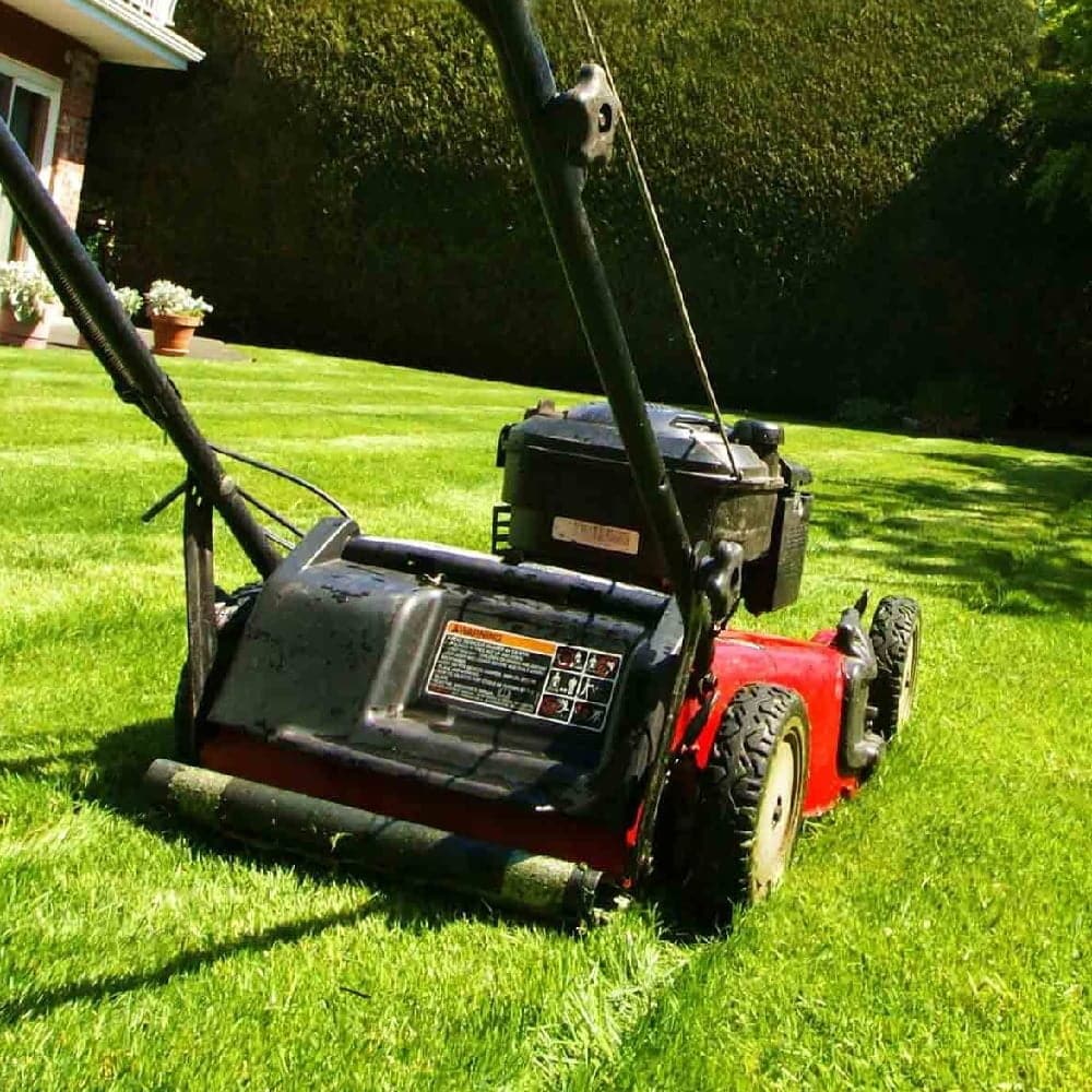 lawn mowing services